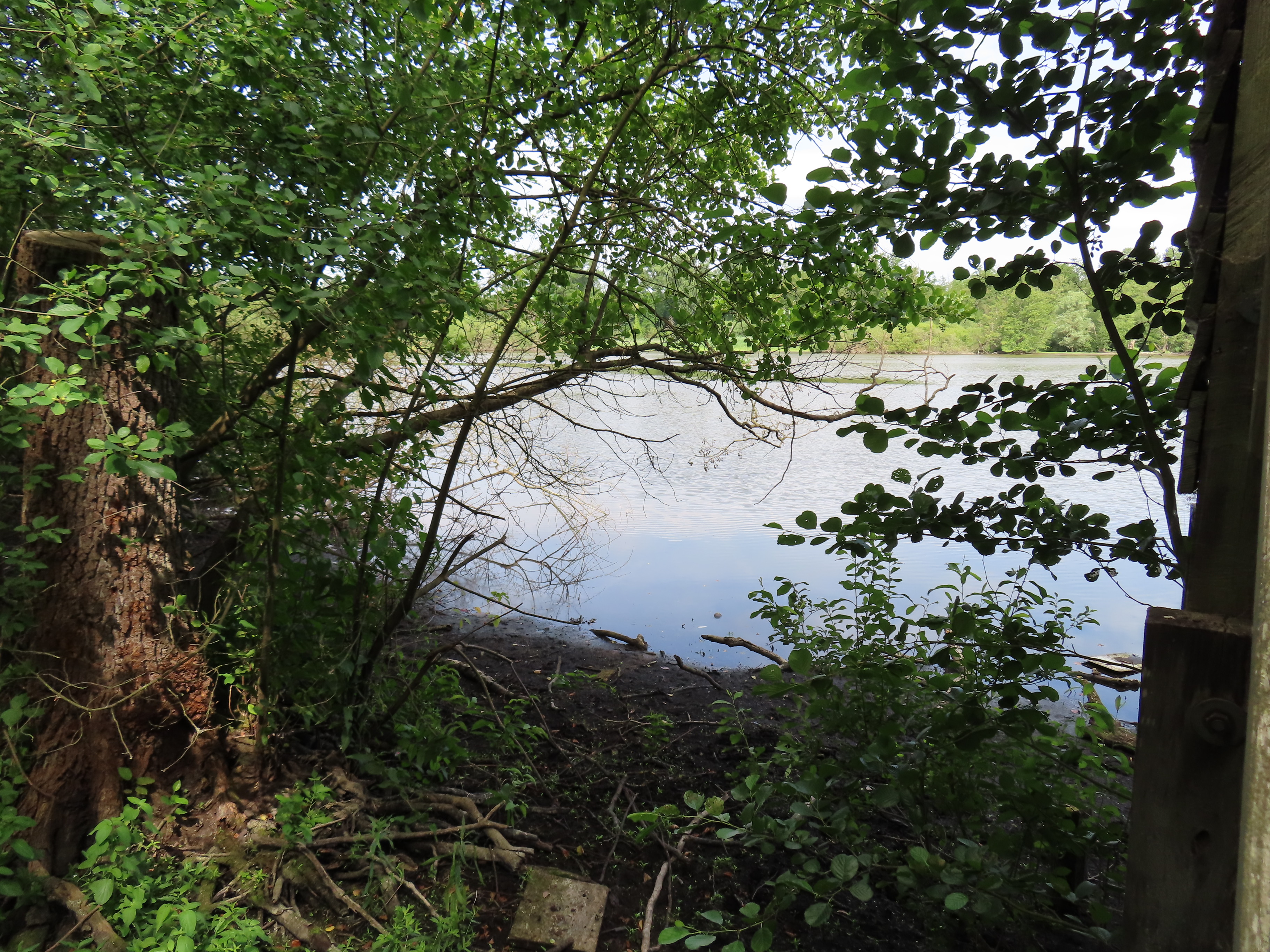 Baggersee