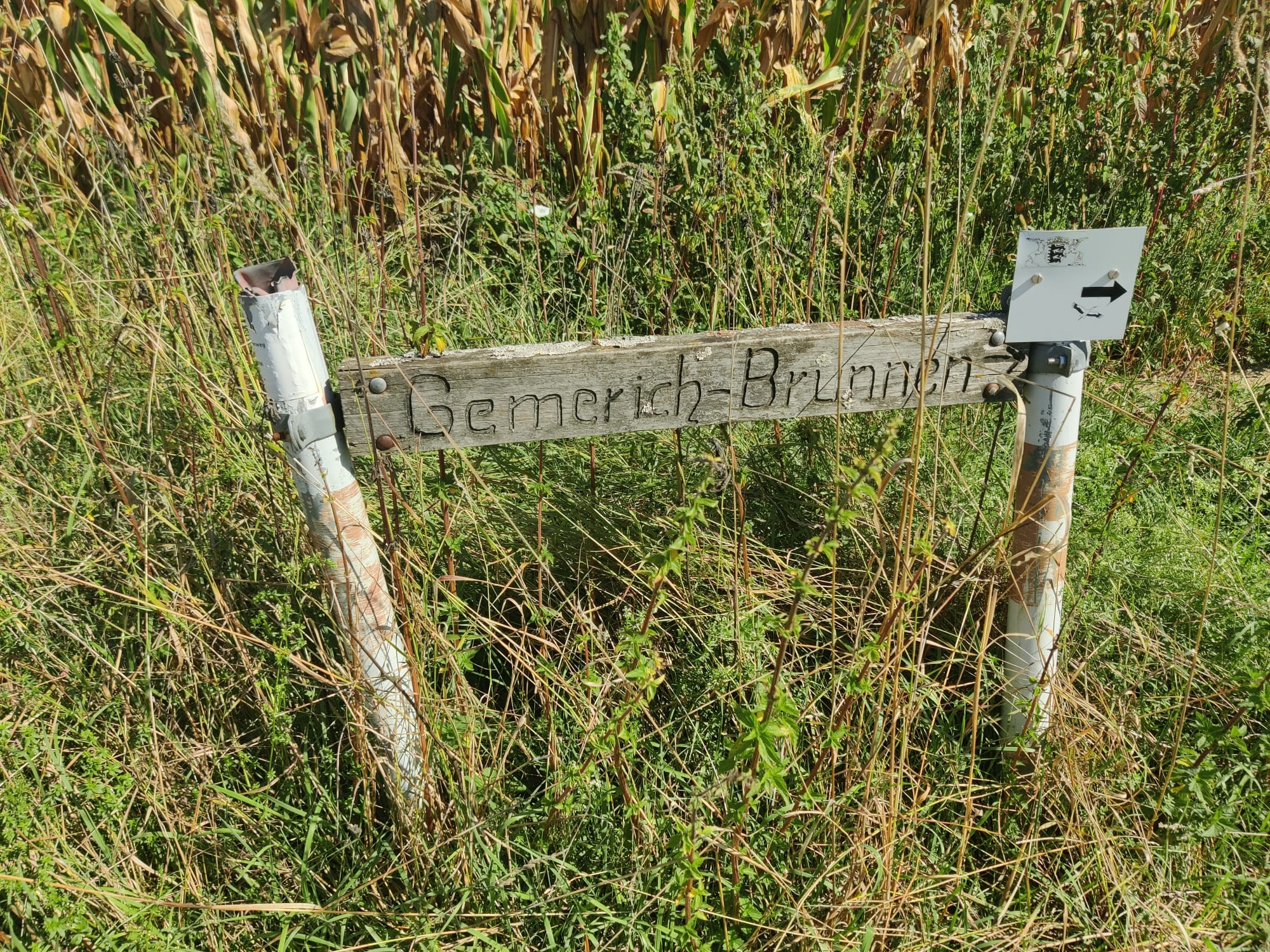 Brunnen