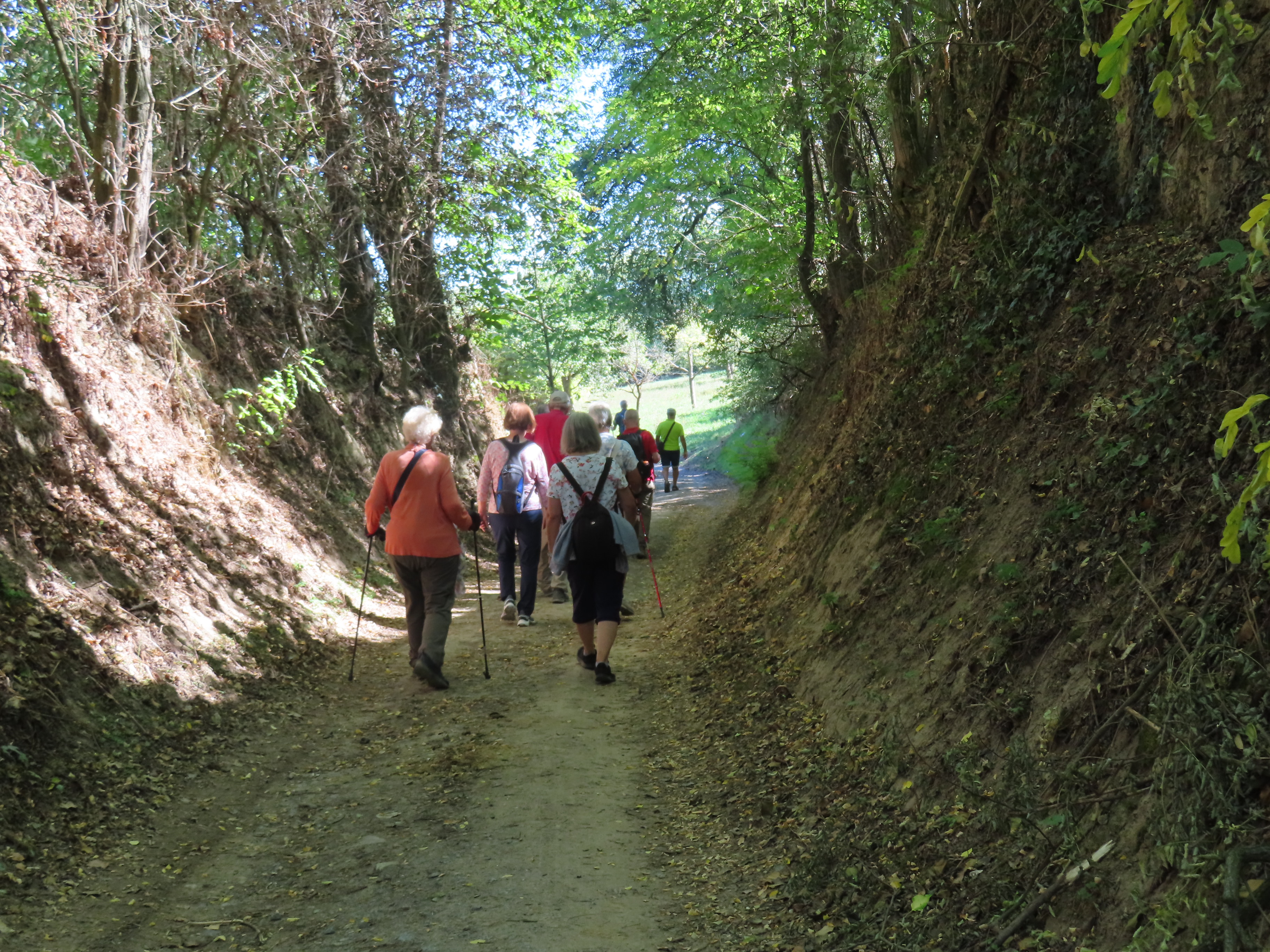 Hohlweg