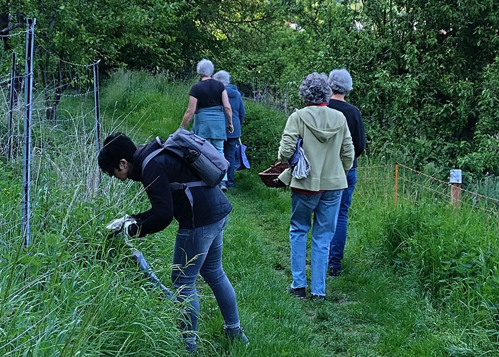 2026 05 08 GrueneStunde 02