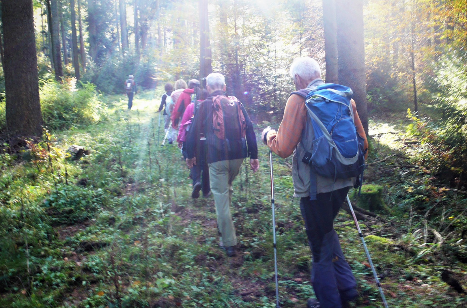 Marathonwanderung der Naturfreunde in den Schwarzwald / W. Busse